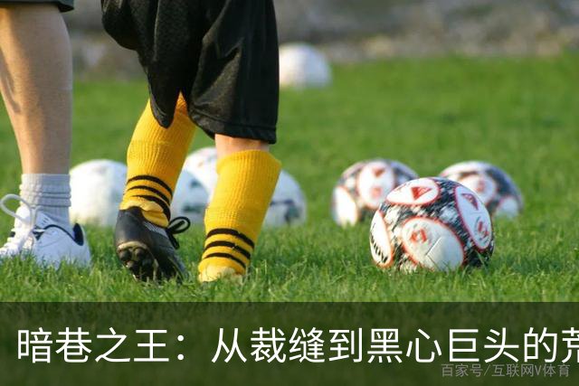 暗巷之王：从裁缝到黑心巨头的荒唐人生