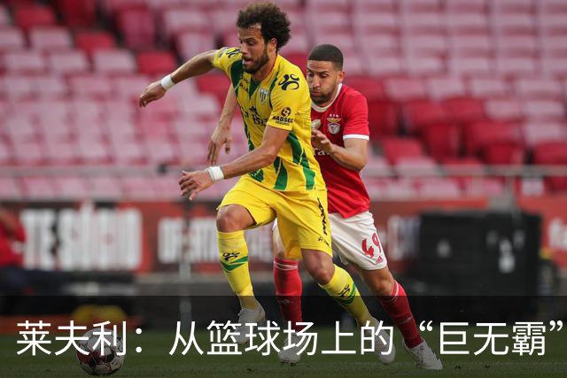 莱夫利：从篮球场上的“巨无霸”到“玻璃人”的打拼传奇
